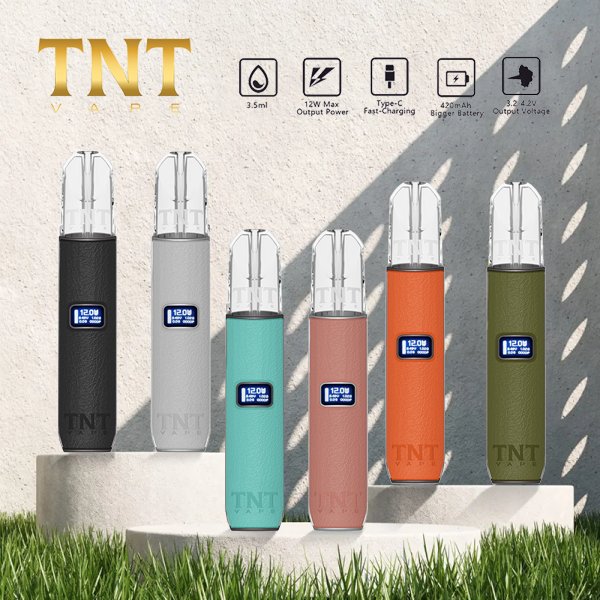 TNT 皮革主機 TNT 皮革主機